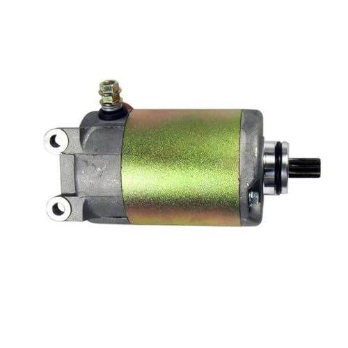 ɓKV3 V5 CF250 X^[^[[^[  XN[^[ I[goC 250cc GW XyA ɓKCN250 CH250 wbNX