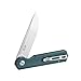 Firebird GANZO FH11 Pocket Folding Knife D2 Steel Blade G10 Handle with Clip Hunting Fishing Camping Outdoor EDC Knife (Green)