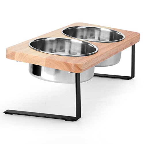 best cat food bowl reddit