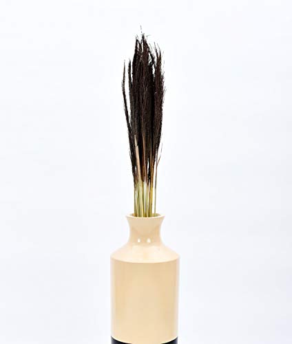 Image of Leewadee Decorative Twigs - Dried and Colored Grass Stems for Vases, Loose Grass for Home and Business Decoration, 47 inches, Brown