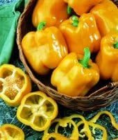 Pepper Early Sunsation 100 Seeds