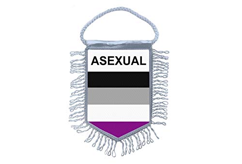 Bandierina Auto Con Gagliardetto LGBTQ+ Arcobaleno – Akachafactory, Dimensioni 15x10 Cm, Stampata Fronte/Retro In Poliestere, Ideale Per Auto, Camper O Zaino