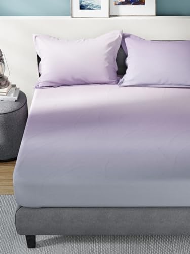 Image of NAUTICA 160TC Super Soft 100% Cotton King Bedsheet with 2 Pillow Covers -3Pc Set (Bradford) Solid-Purple /Mauve