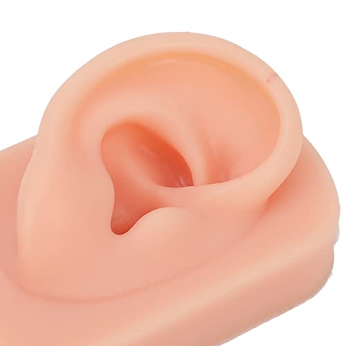 Modelo de orelha falsa, fácil de usar silicone reutilizável modelo de orelha humana orelha direita f