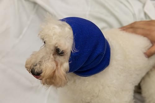 Image of Anti-Anxiety Dog Ear Cover Neck Gaiter Calming Noise Reduction Head Covers for Dogs Blue M