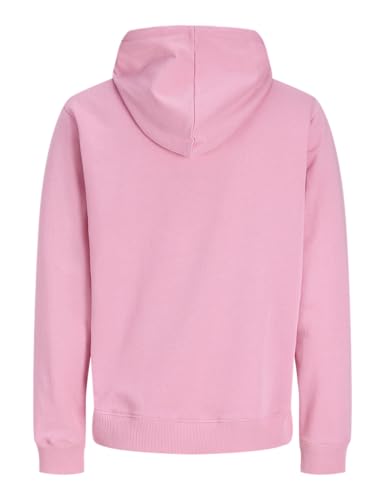JACK & JONES Jjcollege Logo Sweat Hood 2