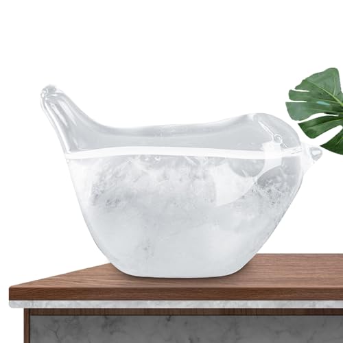 Vidrio de tormenta Pronóstico del tiempo Barómetro meteorológico de vidrio Globo meteorológico de escritorio Figura de pájaro Decoración de mesa creativa para regalo de oficina en casa Pronóstico del
