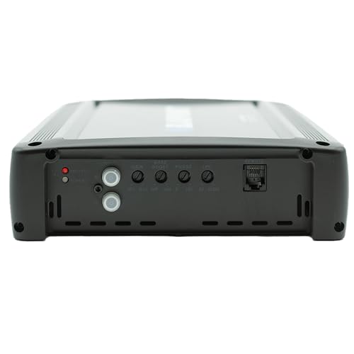 BLAUPUNKT 3000DPRO Car Audio Monoblock 1 Channel 1 Ohm Stable Amp Amplifier 3000 Watts Max | Slim and Compact