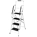 3 Step Ladder or 4 Step Ladder with Handrails or Ladder Tool Caddy - 4-Step Ladder