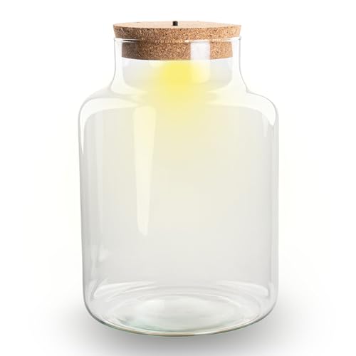 urbanjngl - Terrariumflasche Little Milky mit LED-Korken - Geschlossenes Terrarium Ø 25 cm Höhe 17 cm - Ideal für Pflanzen und Dekoration
