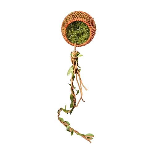 araña salteadora accesorios imán cueva terrario hábitat escalada ocultar ornamento insecto montaje araña accesorio propietarios casa tarántula mante escorpión paisaje jugar descanso búsqueda d