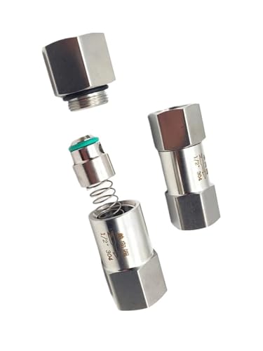 Válvula de retención de combustible unidireccional SS304, tubo hembra BSPT de 1/8'', 1/4'', 3/8'', 1/2'', 3/4'' y 1'', 1 unidad(1/2')