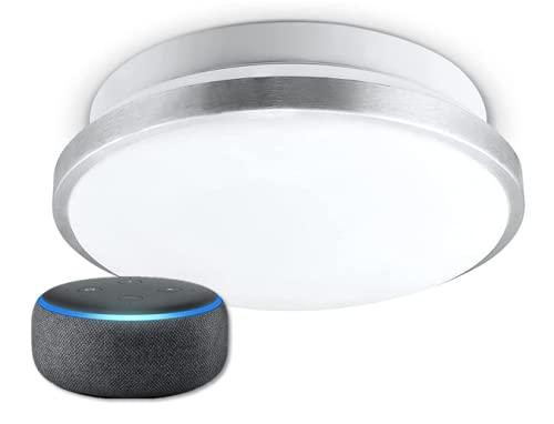 Up to 36% off Globe Electric Smart Lighting Products with Echo Dot bundles