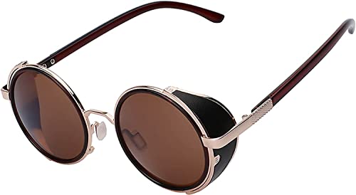 Image of OWL Steampunk Vintage Retro Round Circle Gothic Hippie Colored Plastic Frame Sunglasses Colored Lens