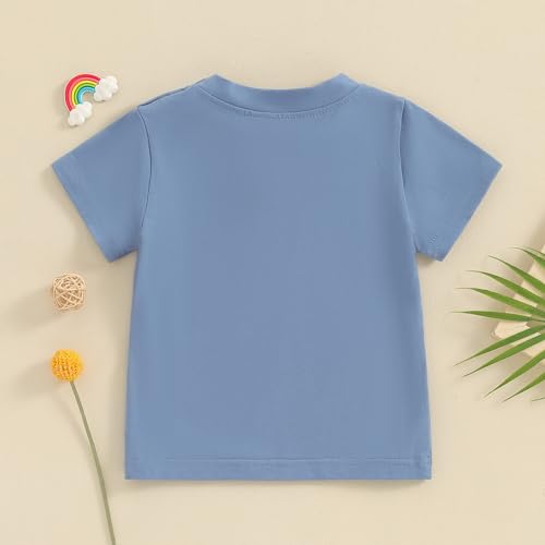 Image of Toddler Baby Boy Girl Short Sleeve Crew Neck T Shirt Pullover Sweatshirt Summer Basic Tee Solid Casual Clothes