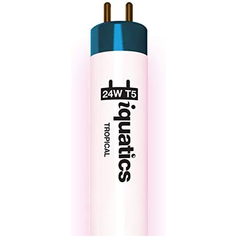 iQuatics Aquarium Fish Tank Fluorescent Light Bulb T5, Tropical, 24w 550mm 22" Cover