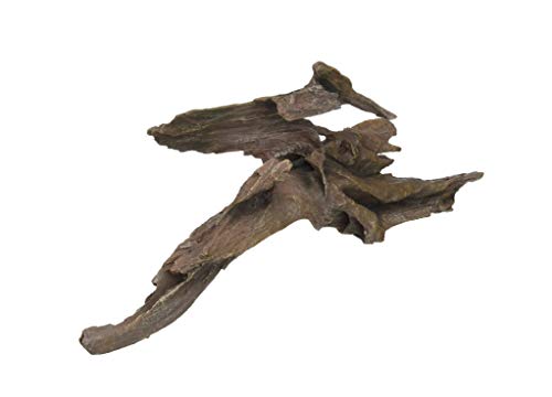 Lucky Reptile 5 5, Multicolor, Large Cover