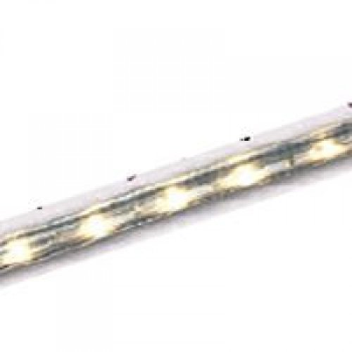 Good Earth Lighting Clear Rope Light