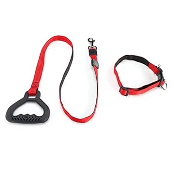 Coleira de cão resistente, coleiras de cachorro ajustáveis ​​​​respiráveis ​​​​estrutura elástica forte coleira de corda para animais de estimação com coleira para(vermelho)