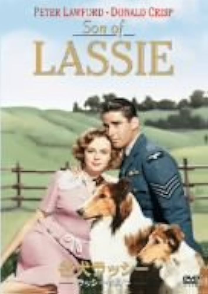 名犬ラッシー 2 [DVD] cm3dmju Amazon.co.jp: 名犬ラッシー/ラッシーの息子 [DVD] : ピーター
