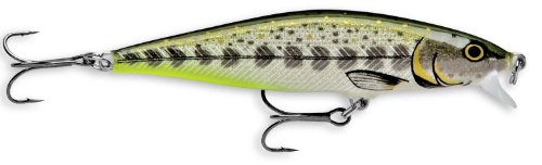 Rapala Flat Rap 06 Fishing lure, 2.5-Inch, Olive Green Muddler