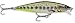 Rapala Flat Rap 06 Fishing lure, 2.5-Inch, Olive Green Muddler