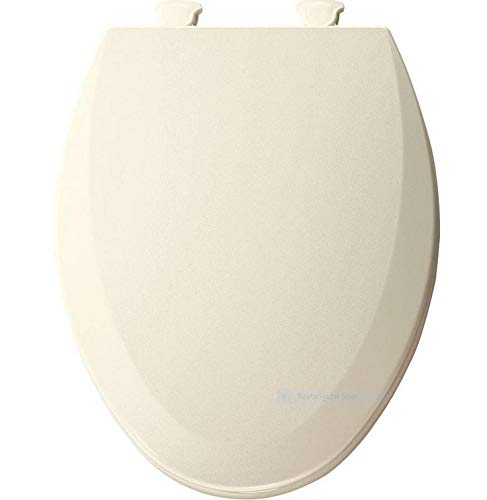 Best Toilet Brush For Elongated Toilets