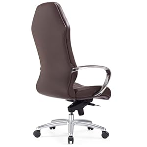Zuri Furniture Modern Ergonomic Sterling Genuine Leather Executive Chair with Aluminum Base Dark Brown