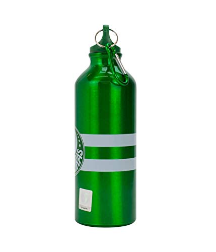 Garrafa Alumínio Com Prendedor 500ml - Palmeiras