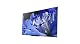 Sony KD-65AF8 65 Zoll 4K Fernseher mit 50 Hz Bildwiederholfrequenz