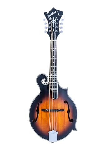 Washburn M3SEBRK F style Mandolin Brown Burst with Gig Bag