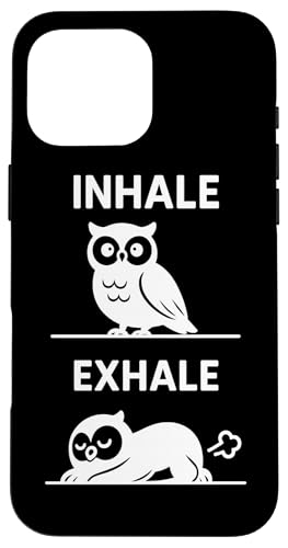 K zēf  Vc ? ґz [A MtgtNE X}zP[X iPhone 16 Pro Max p