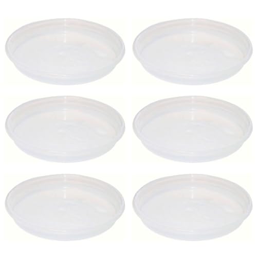Acan Tradineur - Pack de 6 Platos Transparentes de plástico para Maceta, Bandeja, platillo Redondo para Tiesto de Interior, Exterior, jardín, terraza o balcón, Ø 14,5 cm