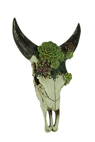 Estatua de calavera de toro envejecida con suculentas colgantes