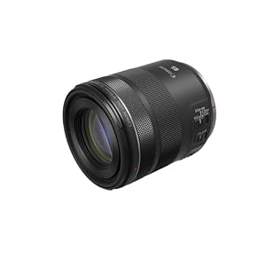 Canon RF85mm F2 Macro is STM Lens — photo 5 of 6