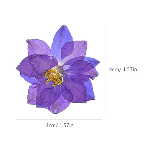 Kit de Flores Secas Naturales para Manualidades DIY 27 Pzs miniatura 2