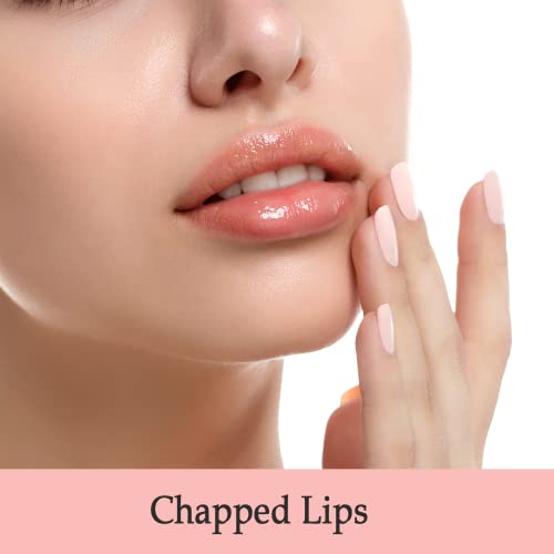 Bioline White Perfumed Petroleum Jelly for Chapped Lips, Rough Hands, Legs & Cracked Feet | Moisturizing & Soothing Cream for Dry Skin | 900 g Pack