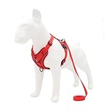 cuccioli di pitbull red nose in regalo Il guinzaglio abbinato incluso fornisce funzionalità coordinate for le passeggiate quotidiane e le attività all'aperto.