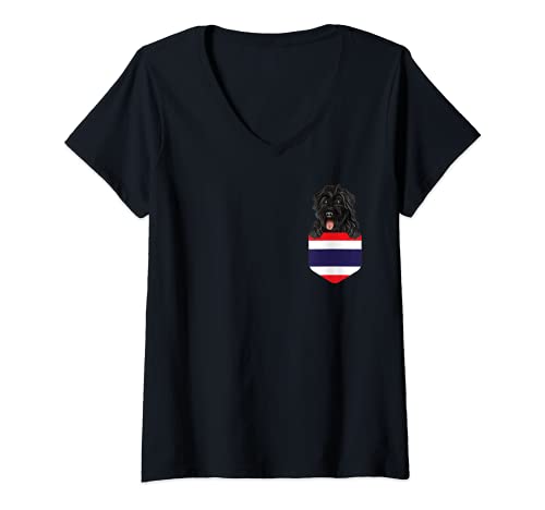 Womens Thailand Flag Bouvier des Flandres Dog In Pocket V-Neck T-Shirt, Black
