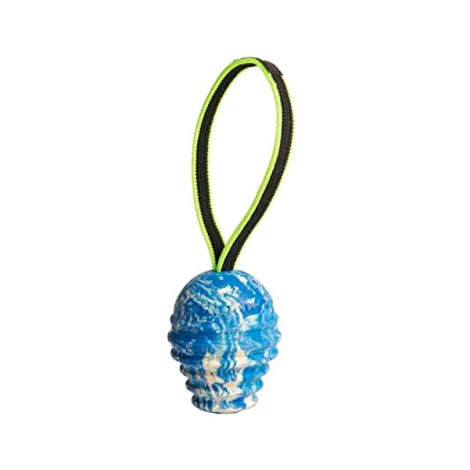JULIUS K-9 JK9 Duoplay Antibakterial Ball, große