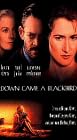 Down Came a Blackbird [VHS]