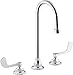 Kohler 800T70-5ANL-CP Triton?Bowe Sink Faucet, Polished Chrome