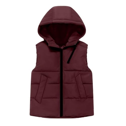 Icegrey Boys Girls Winter Hooded Puffer Vest Kids Lightweight Stand Collar Sleeveless Jacket with Pockets