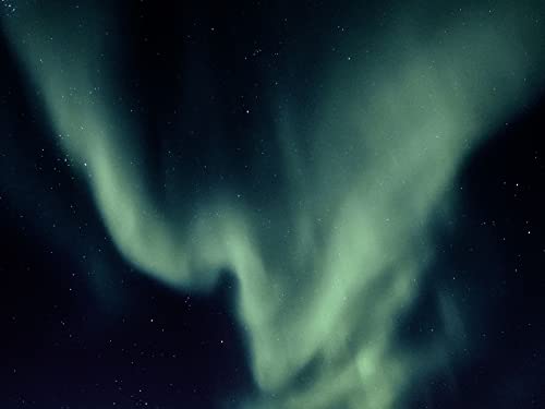 Northern Binaural Labs