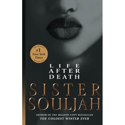 Life After Death: A Novel Cover