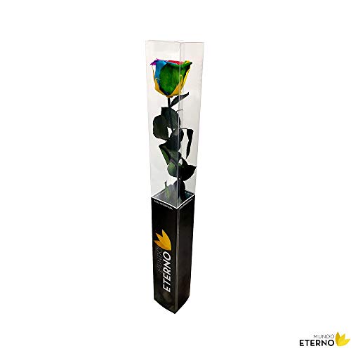 Mundo Eterno Rosa Eterna Preservada 55cm Arcoiris