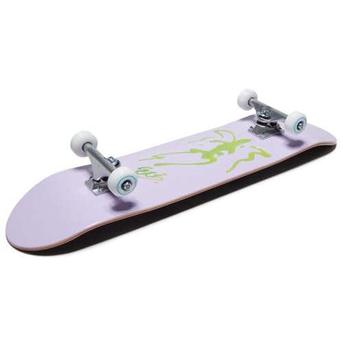 Image of [CCS] Skateboard Complete | Maple Wood | Professional Grade | Fully Assembled with Skate Tool & Stickers | Adults, Kids, Teens, Youth | Boys & Girls