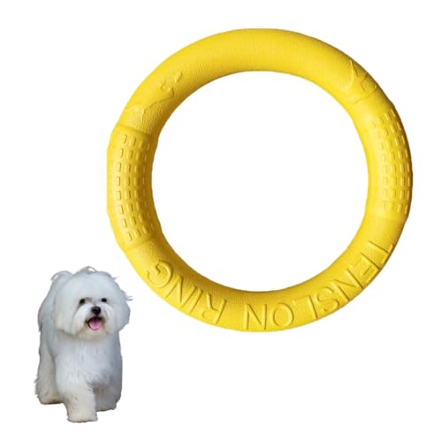 DIZLAS    O tXr[ ϋv v XgX ɕ (CG[)