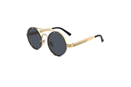Technigadgets Vinh Round Steampunk Sunglasses Retro Metal Frame Eyeglasses For Men Women Outdoor Fashion Eyewear Driving UV Protection Mens Womens Gift Gold/Black
