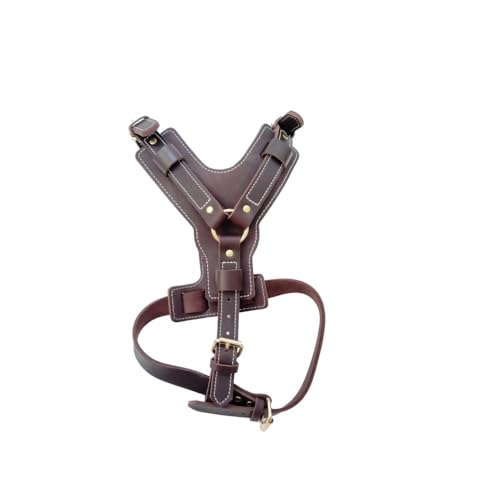 {v Y^ ybgn[lX pn[lX ߉\ ^E^p `FXgXgbvt (M,uE)